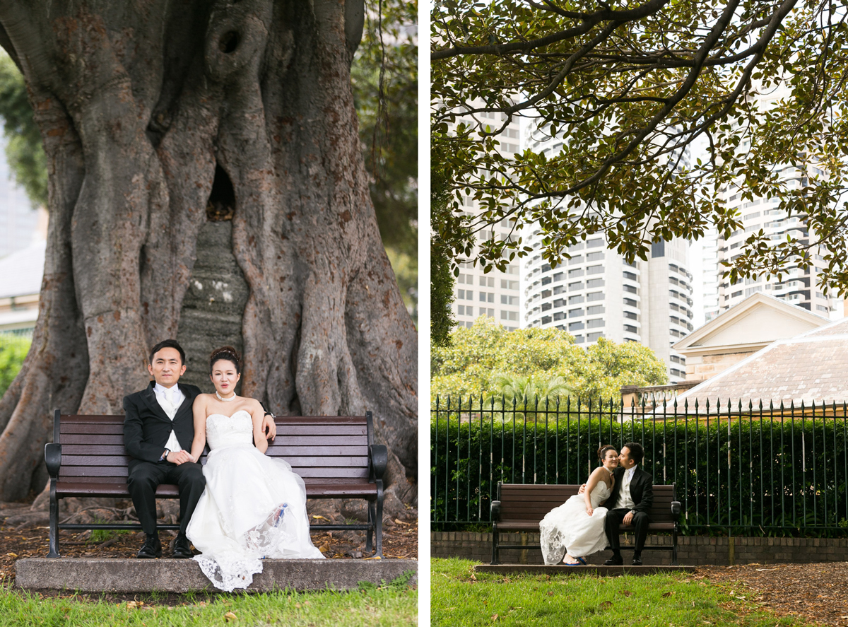 Dual candid shots of the bride and groom sitting on two different park benches under large fig trees Sydney wedding photographer