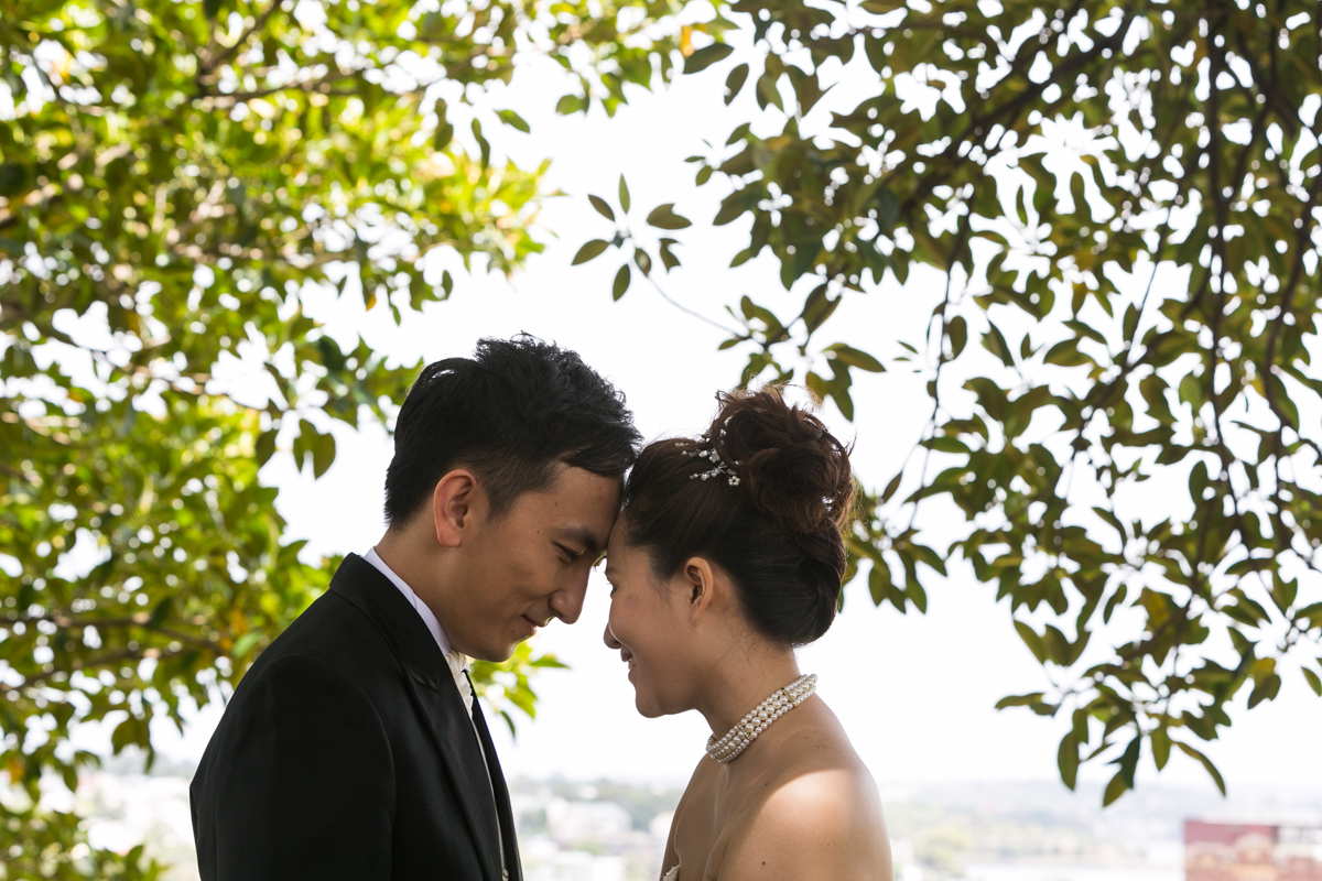The bride and groom with foreheads together surrounded by green leaves from fig trees Sydney wedding photographer