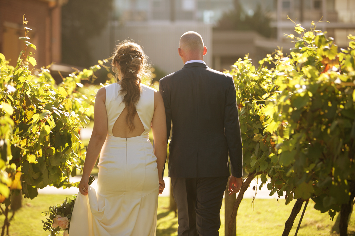16_bride and groom in gorgous golden light at honeysuckle vineyard