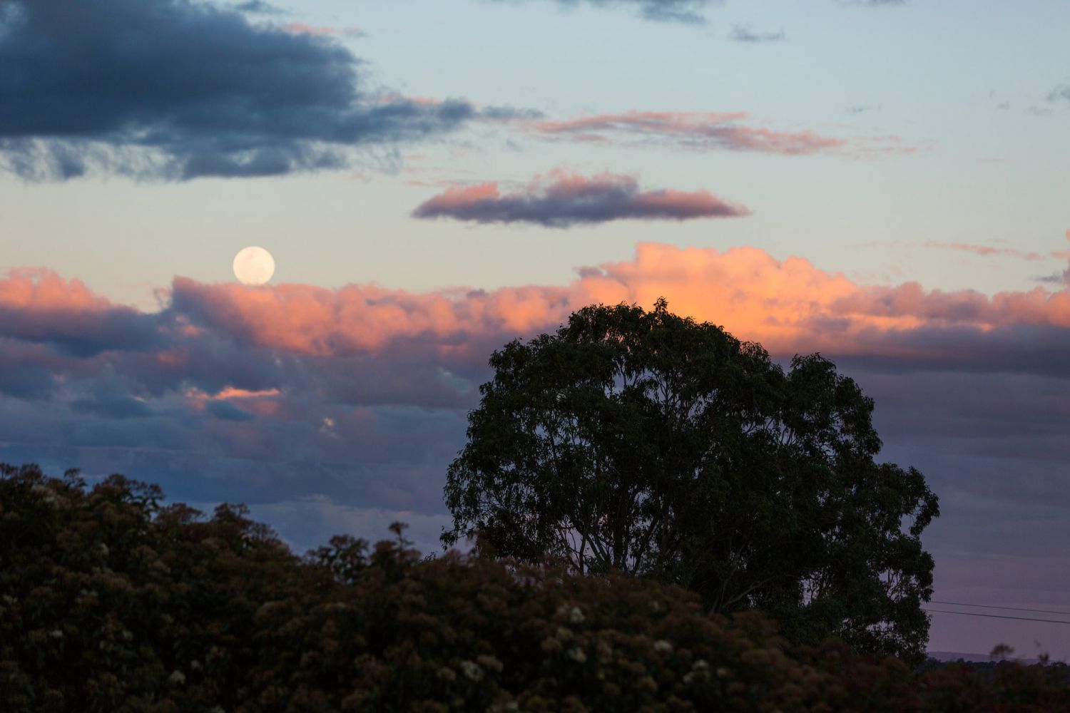 24_moon-rise-captured-by-wedding-photographer-in-hunter-valley